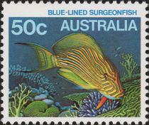 Blue-lined Surgeonfish (Acanthurus lineatus)