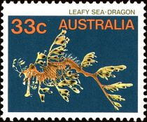 Leafy Seadragon (Phycodurus eques)