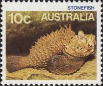 Reef Stonefish (Synanceia verrucosa)