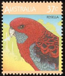 Crimson Rosella (Platycercus elegans)