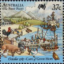 Cape of Good Hope, Loading Livestock