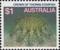 Crown-of-thorns Starfish (Acanthaster planci)