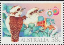 Laughing Kookaburra (Dacelo novaeguineae) and Gifts