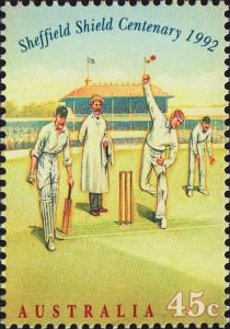 Cricket - Bowler and Umpire