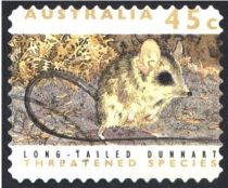 Long-tailed Dunnart (Sminthopsis longicaudata)