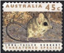 Long-tailed Dunnart (Sminthopsis longicaudata)