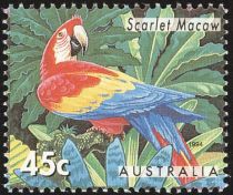 Scarlet Macaw (Ara macao)