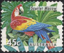 Scarlet Macaw (Ara macao)