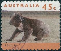 Koala (Phascolarctos cinereus)