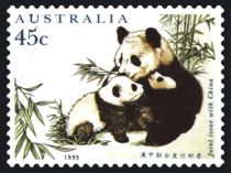 Giant Panda (Ailuropoda melanoleuca) and Cubs