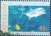 Giant Trevally (Caranx ignobilis)