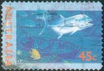 Giant Trevally (Caranx ignobilis)