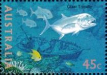 Giant Trevally (Caranx ignobilis)