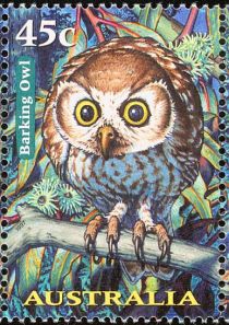 Barking Owl (Ninox connivens)