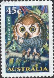 Barking Owl (Ninox connivens)