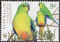 Orange-bellied Parrot (Neophema chrysogaster)