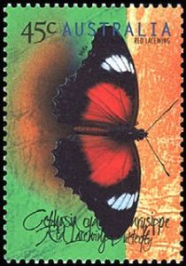 Red Lacewing (Cethosia cydippe chrisippe)