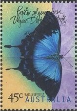 Ulysses Butterfly (Papilio ulysses joesa)