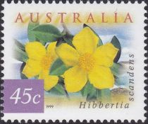 Guinea Flower (Hibbertia scandens)