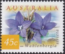 Australian Bluebells (Wahlenbergia stricta)