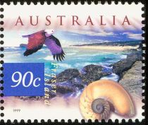 Fraser Island, Chambered Nautilus, Brahminy Kite