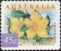 Guinea Flower (Hibbertia scandens)