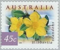 Guinea Flower (Hibbertia scandens)