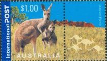 Red Kangaroo (Osphranter rufus) and Joey