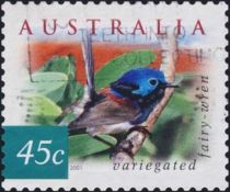 Variegated Fairy-wren (Malurus lamberti)