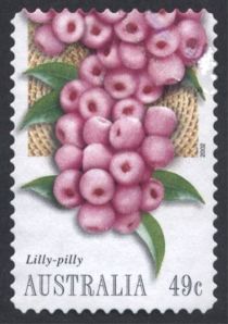 Lilly-pilly