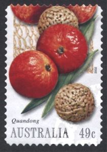 Quandong