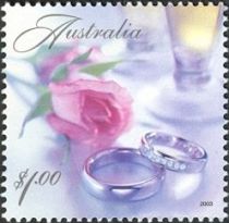 Rings & Pink Rose