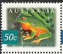 Orange-thighed Tree Frog (Litoria xanthomera)