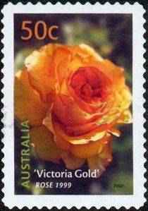 “Victoria Gold” Rose 1999