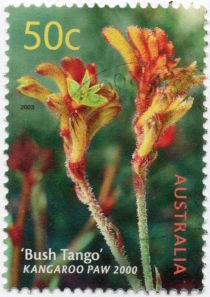 “Bush Tango” Kangaroo Paw 2000