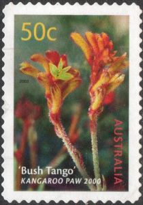 “Bush Tango” Kangaroo Paw 2000