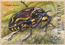 Fiddler Beetle (Eupoecila australasiae)