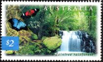 Daintree Rainforest