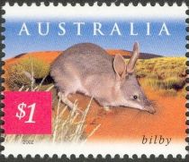 Greater Bilby (Macrotis lagotis)