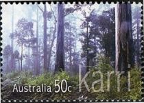 Karri (Eucalyptus diversicolor)