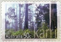 Karri (Eucalyptus diversicolor)