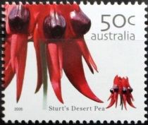 Sturt's Desert Pea (Swainsona formosa)