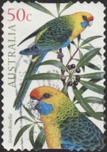 Green Rosella (Platycercus caledonicus)