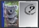 Koala 2005