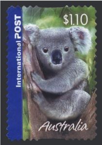 Koala (Phascolarctos cinereus)