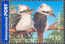 Laughing Kookaburra (Dacelo novaeguineae)