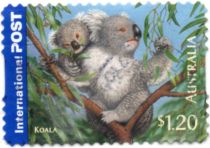 Koala (Phascolarctos cinereus)