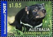 Tasmanian Devil (Sarcophilus harrisii)