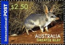 Greater Bilby (Macrotis lagotis)