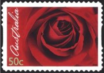 Red Rose 2006 s/a fine grid